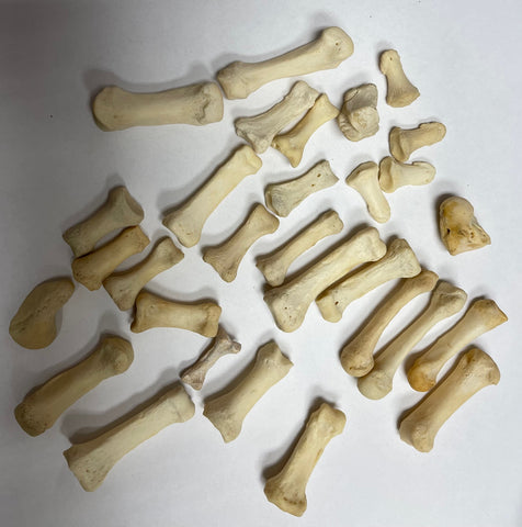 30 Assorted Hand Bones - Mixed Carpal, metacarpal, and phalange bones